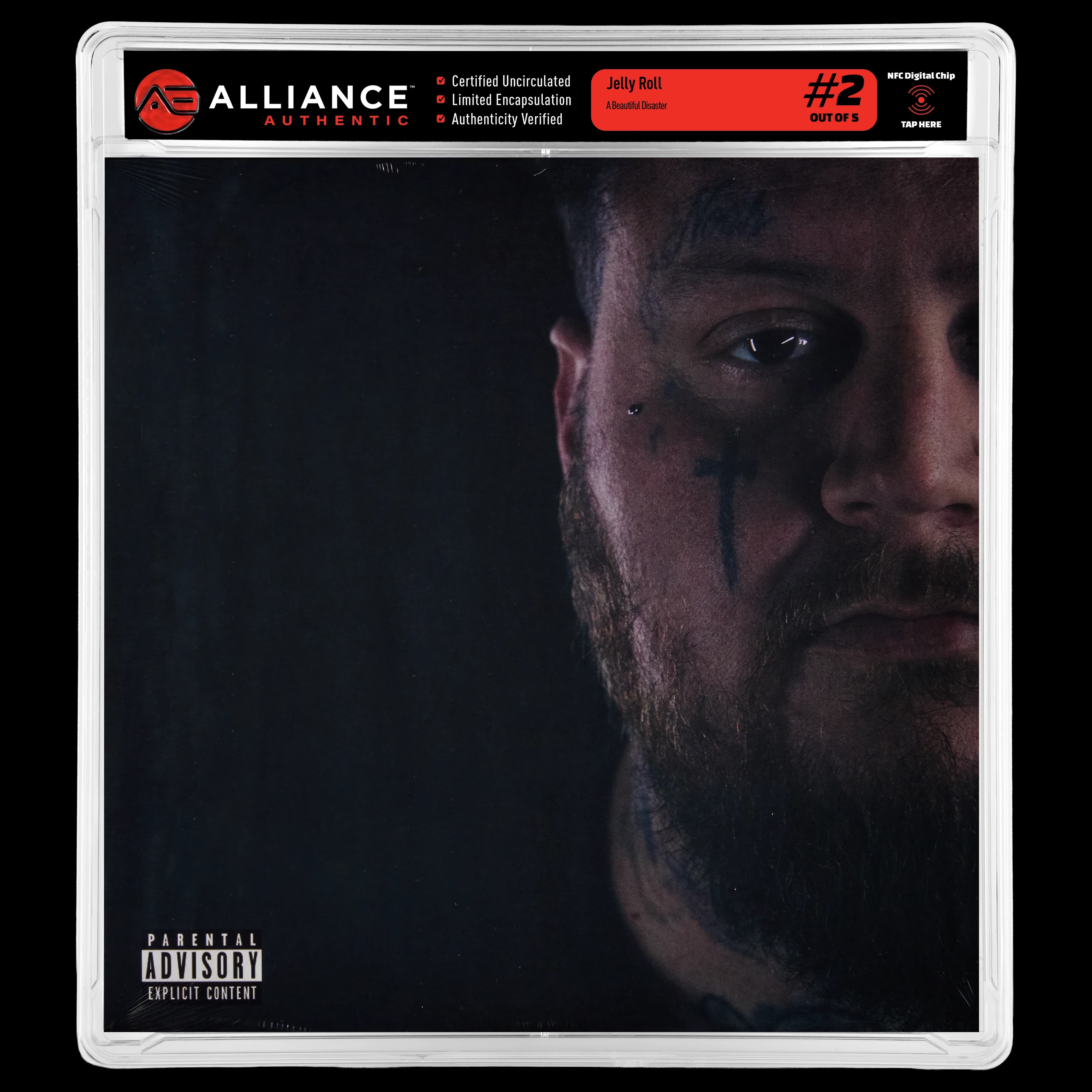 Front image of "A Beautiful Disaster" #2